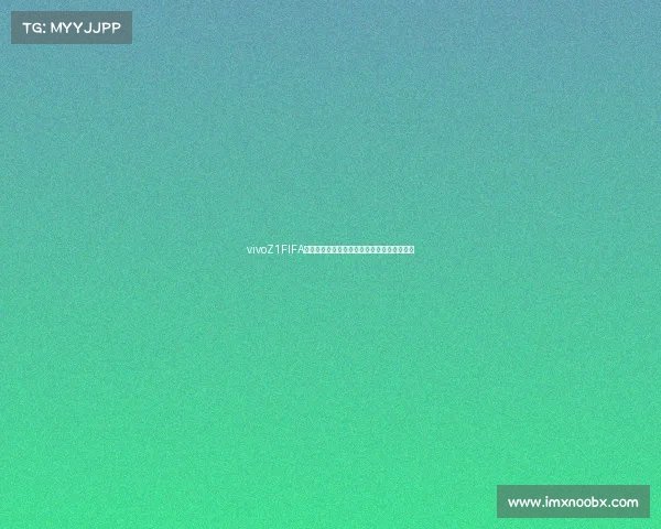 vivoZ1FIFA世界杯定制足球引领潮流热赛场纪念珍藏体验